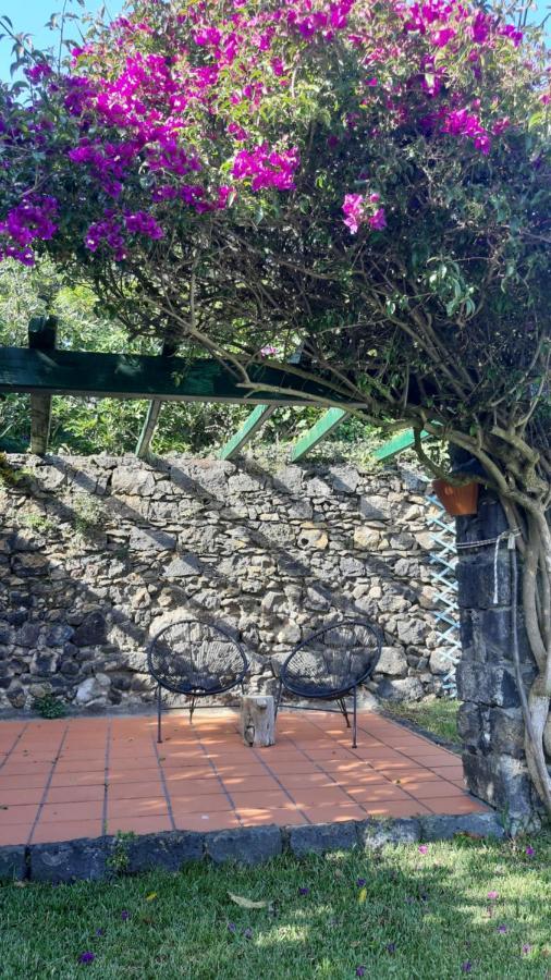 Quinta Do Carmo Villa Feteiras Екстериор снимка