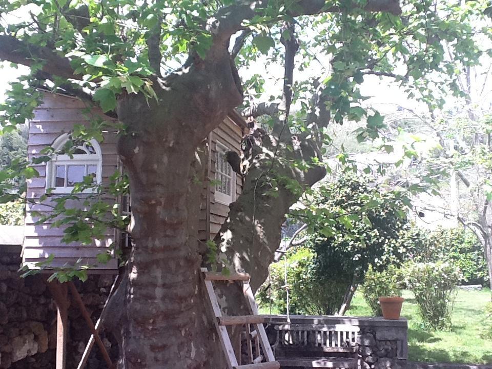 Quinta Do Carmo Villa Feteiras Екстериор снимка